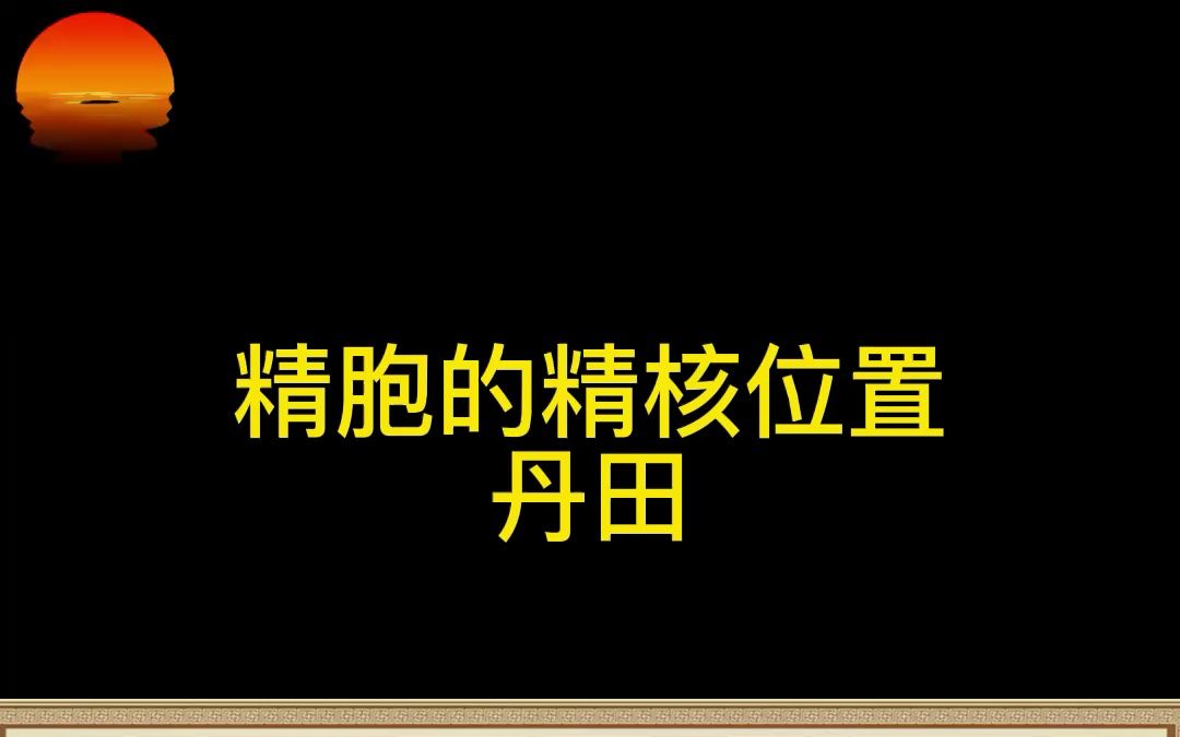 精胞的精核位置:丹田哔哩哔哩bilibili