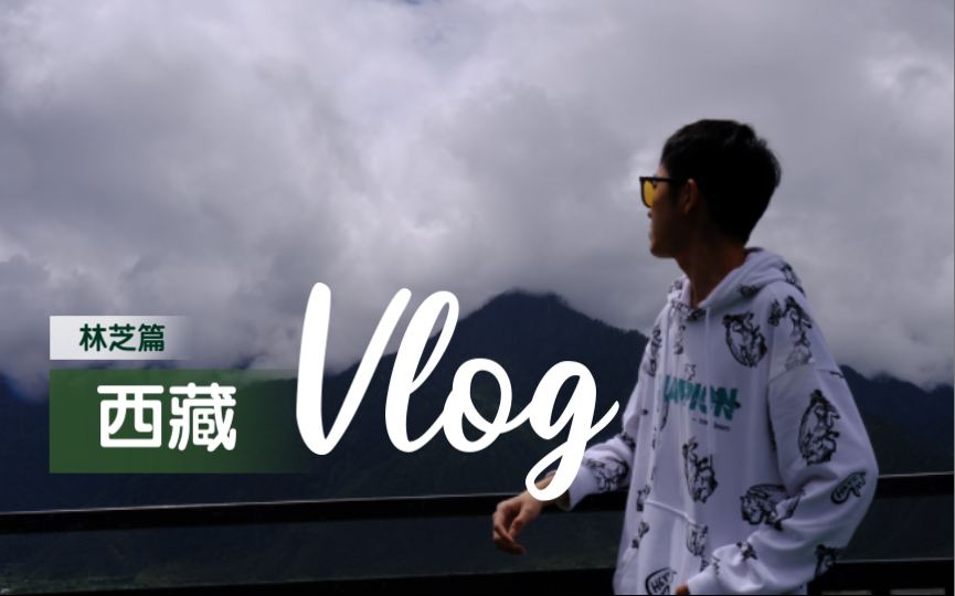 在太阳宝座上孕育的雪域明珠|西藏Vlog【林芝篇】哔哩哔哩bilibili