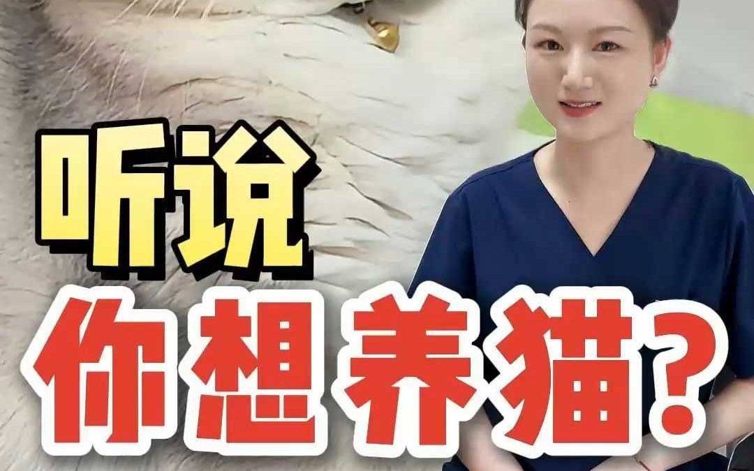 听说你想养猫?要不你再想想吧哔哩哔哩bilibili