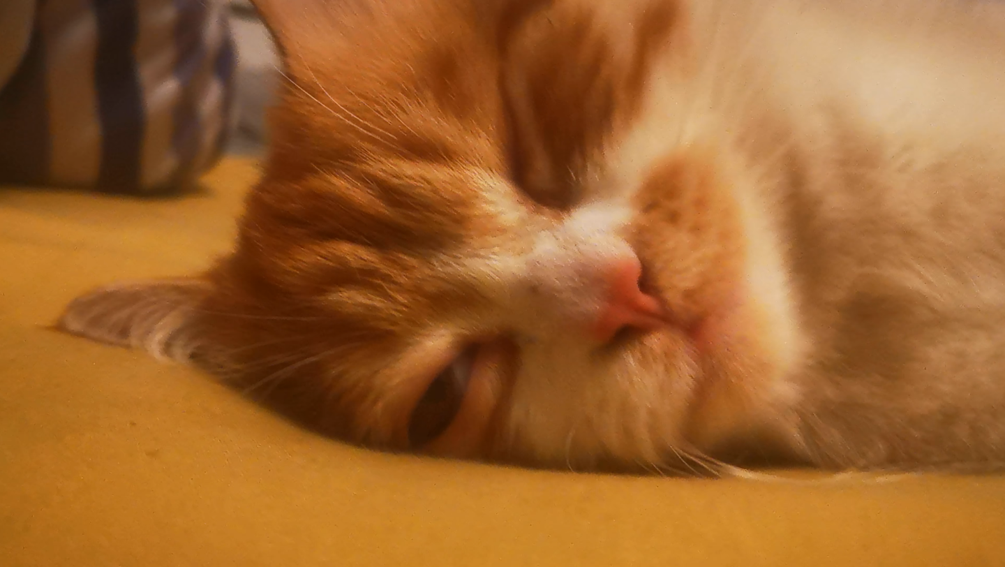 活动作品半睁眼睡觉呼噜震天