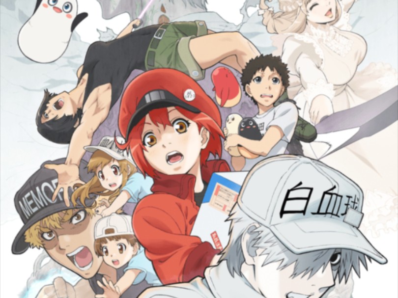 工作细胞 红白cp