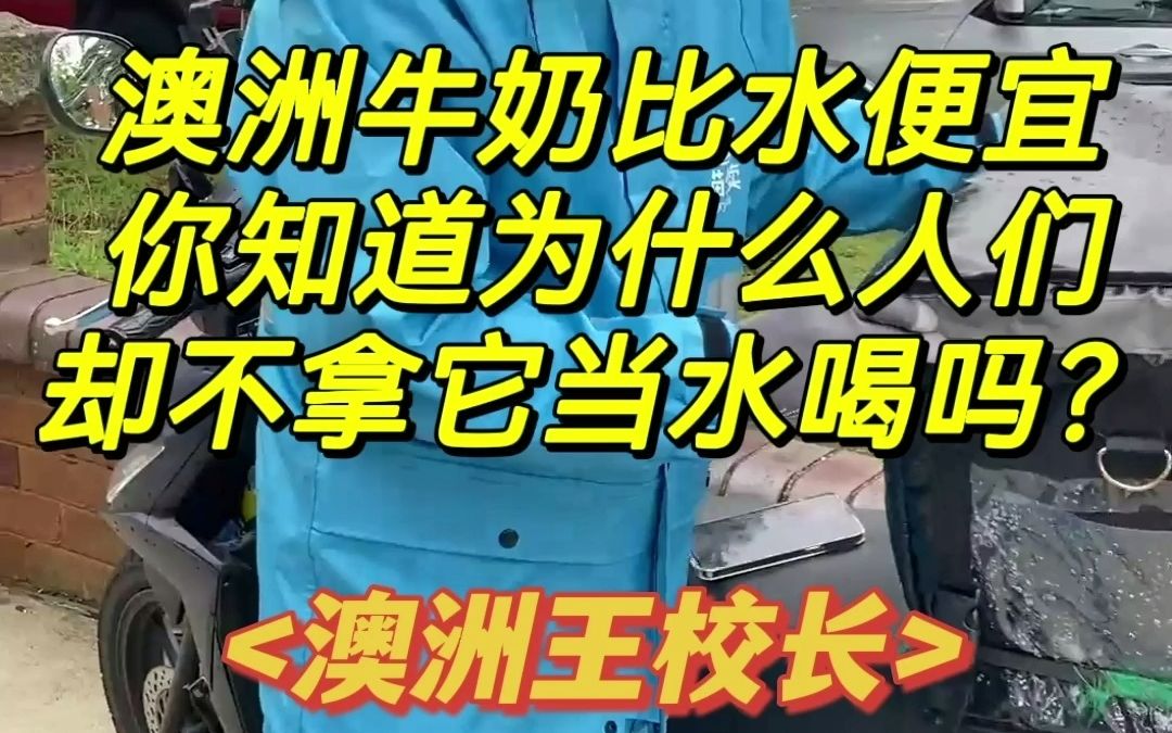 澳洲牛奶比水便宜,你知道为什么人们却不拿它当水喝吗?哔哩哔哩bilibili