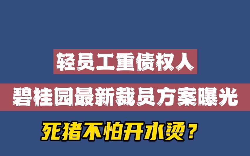 轻员工重债权人,碧桂园最新裁员方案曝光哔哩哔哩bilibili