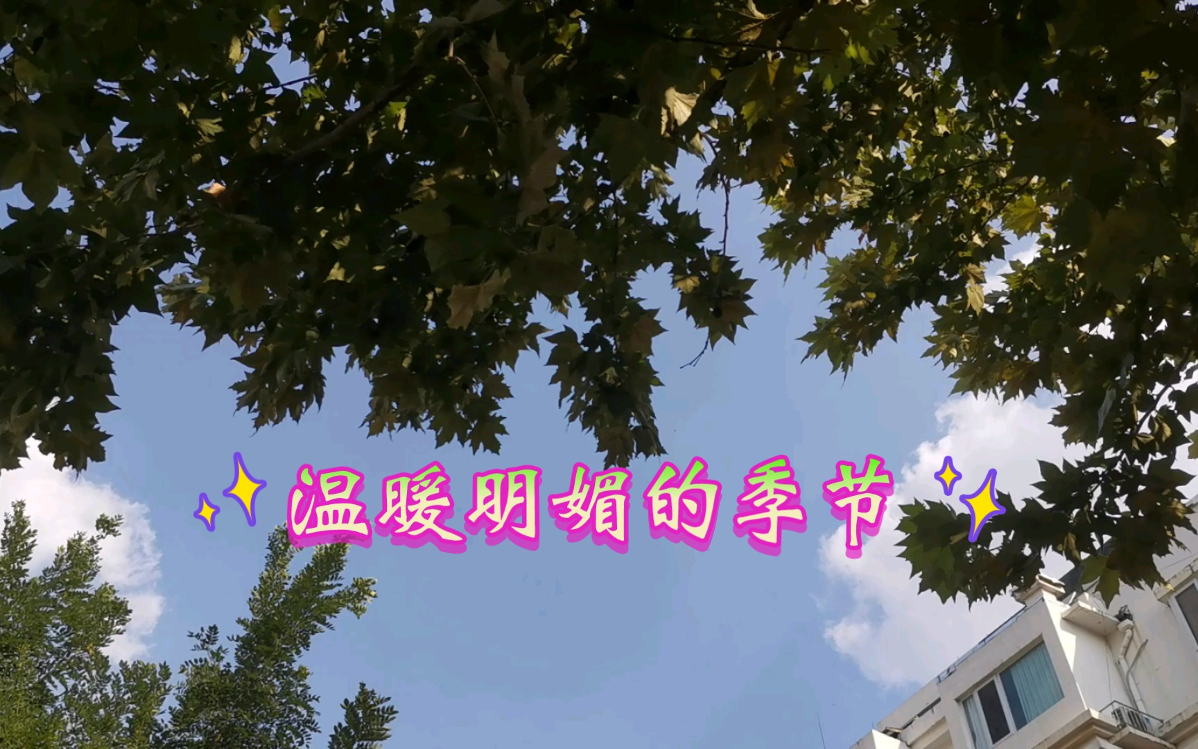 寻找秋天的颜色:温暖明媚的季节哔哩哔哩bilibili