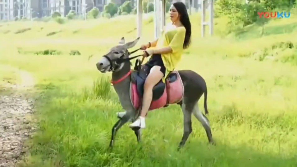 《司马如佳骑驴记》大家点个关注,更多她的作品奉上