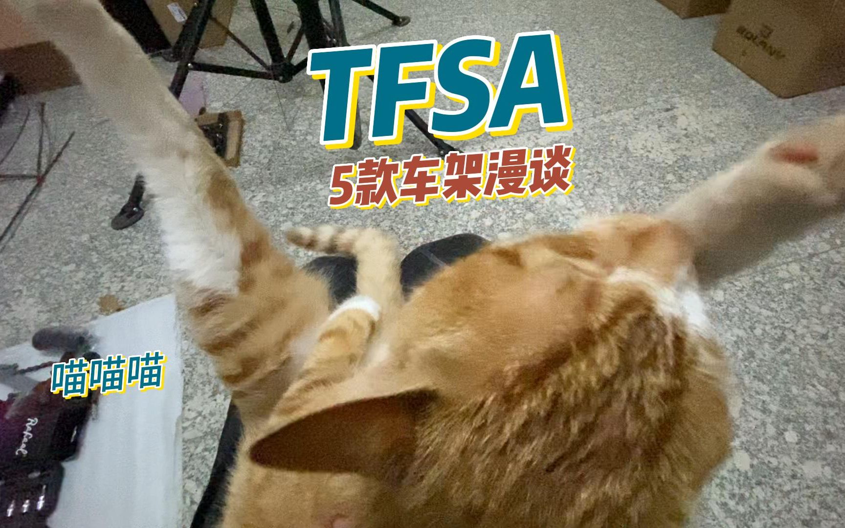 自组公路车系列TFSA5款公路车架实物分享哔哩哔哩bilibili