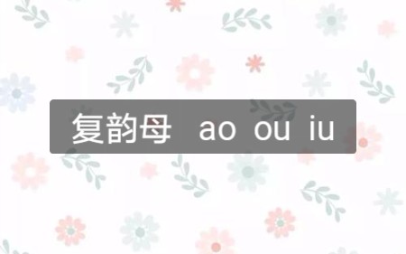 [图]拼音 ao ou iu