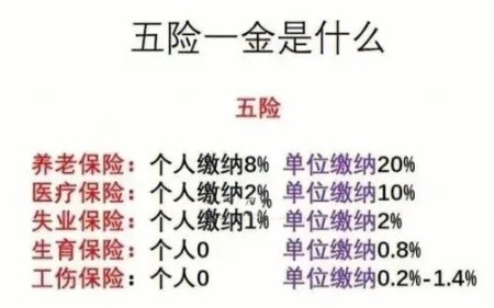 细思极恐!在中国,“五险一金”竟然已占到工资总额的40%50%哔哩哔哩bilibili