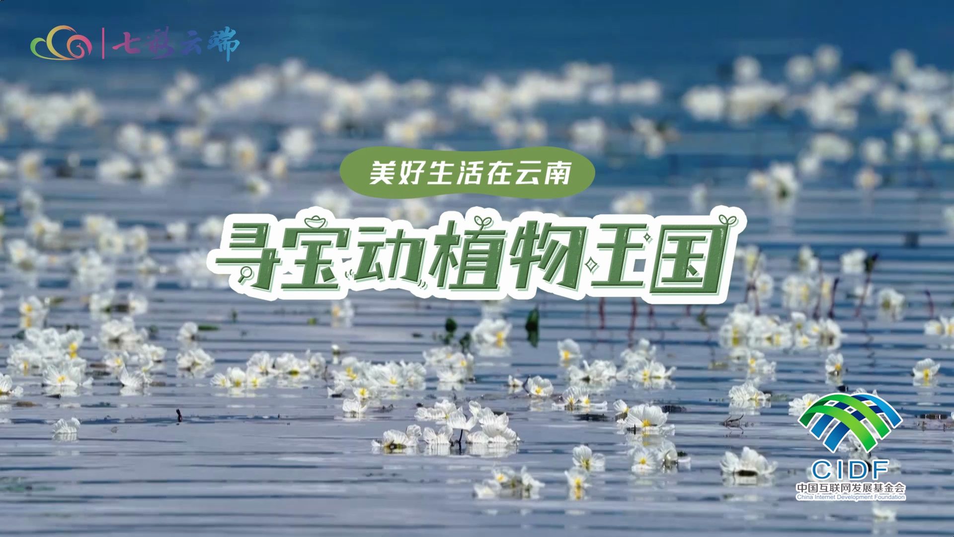 5月22日起,"美好生活在云南·寻宝动植物王国"大型主题联合直播活动