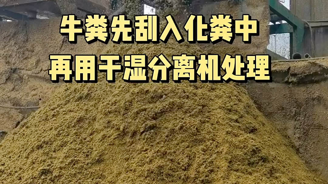 牛粪先刮入到化粪池中,再用干湿分离机处理