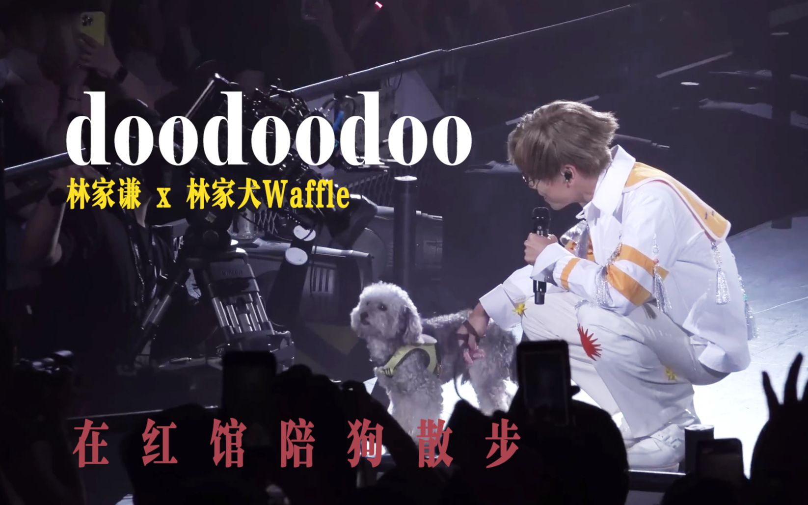 [图]在红馆陪狗散步｜《doodoodoo》MV男主角亲临红馆现场为林家谦打气