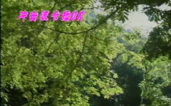 [图]【光盘搬运】冲击波卡拉OK 第16辑（1996年）