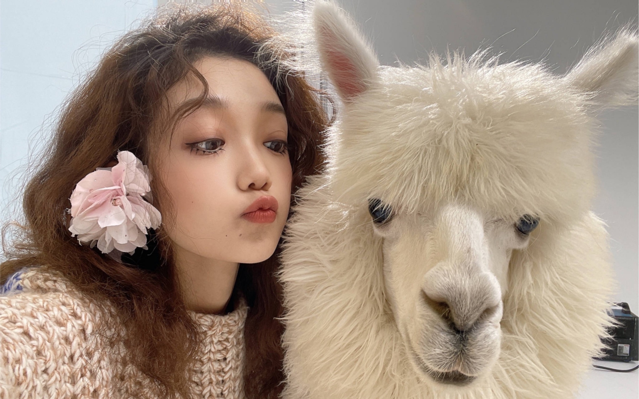 无情的搬运机器硬糖少女303希林娜依高希林娜依高献唱穿过寒冬拥抱你