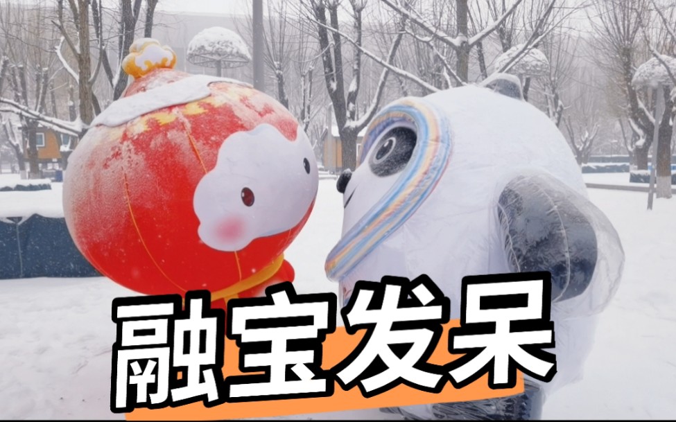 融宝在雪地里竟然?哔哩哔哩bilibili