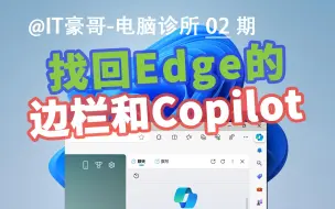 Download Video: 教程 | Edge侧边栏、Copilot图标都不见了，怎么找回？