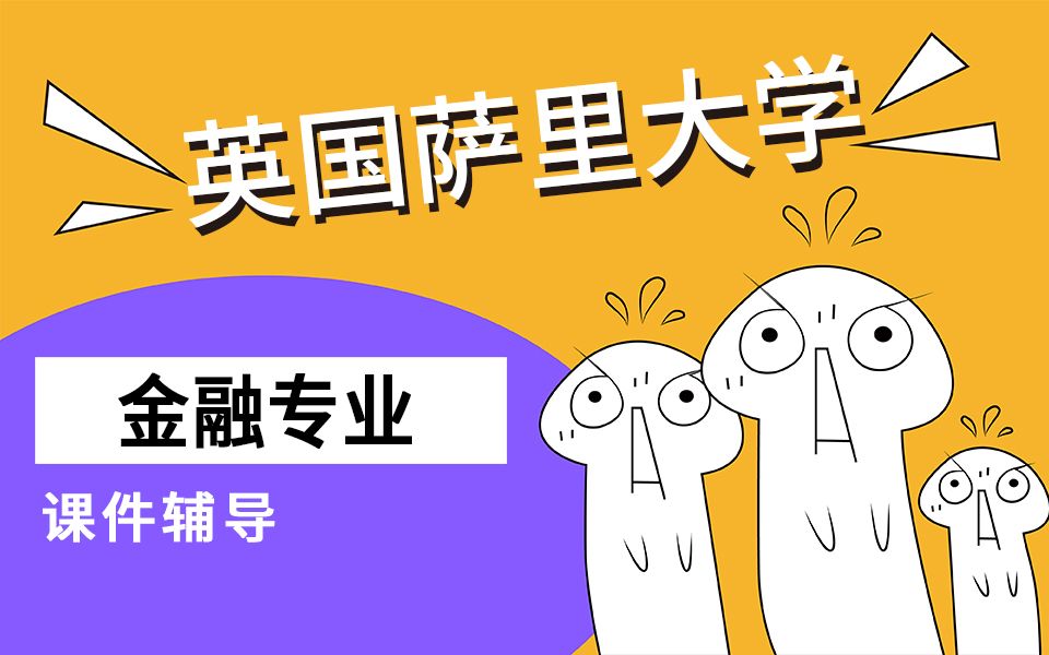 英國薩里大學本科研究生金融專業finance課程課件輔導