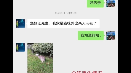 散养猫不回家怎么找##湖南寻猫##湘潭找猫团队##湖南专业找猫##柯南寻猫寻狗专业寻宠物团队##湘潭柯南专业寻猫团队##湖南湘潭寻猫##湖南寻猫团队##...