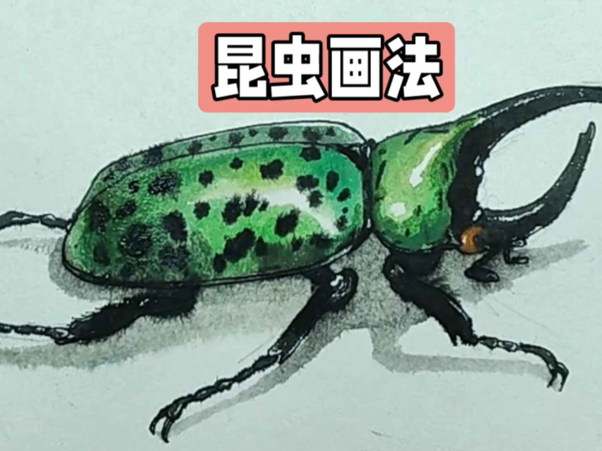 手绘昆虫,画一个绿色大甲虫