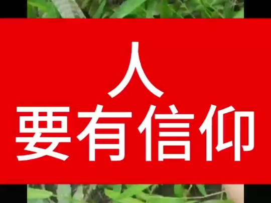 人可以不迷信,但一定要有信仰!敬天,敬地,敬祖先.