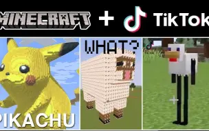 下载视频: 【沙雕&动画】假如Minecraft有抖音#5