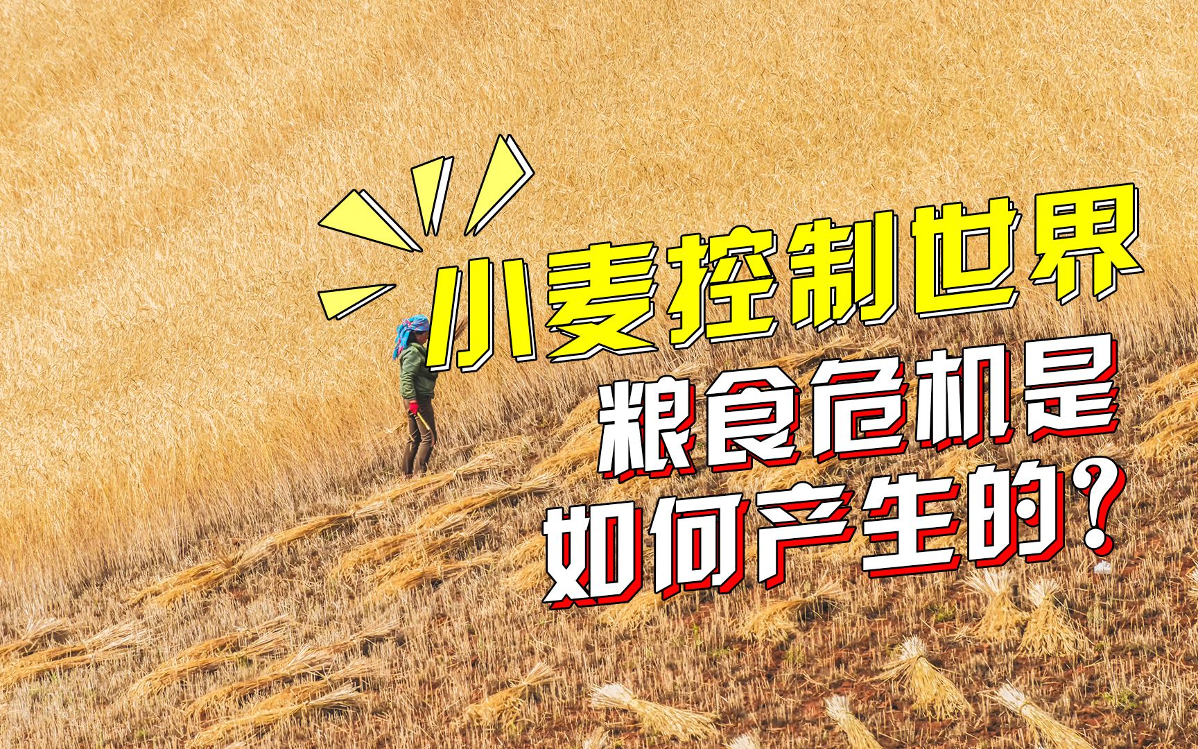 [图]【正解局】美国霸权背后的小麦手段：为什么粮食够吃，还会出现危机？