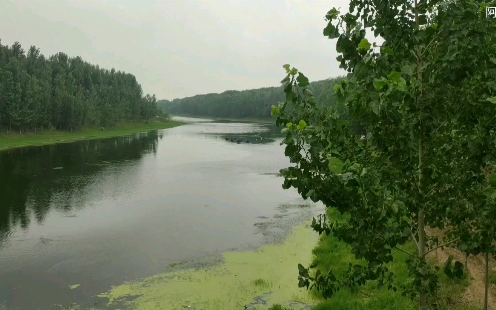 河南太康马厂东段涡河桥风景,空气新鲜风景美,水位变化不大哔哩哔哩bilibili