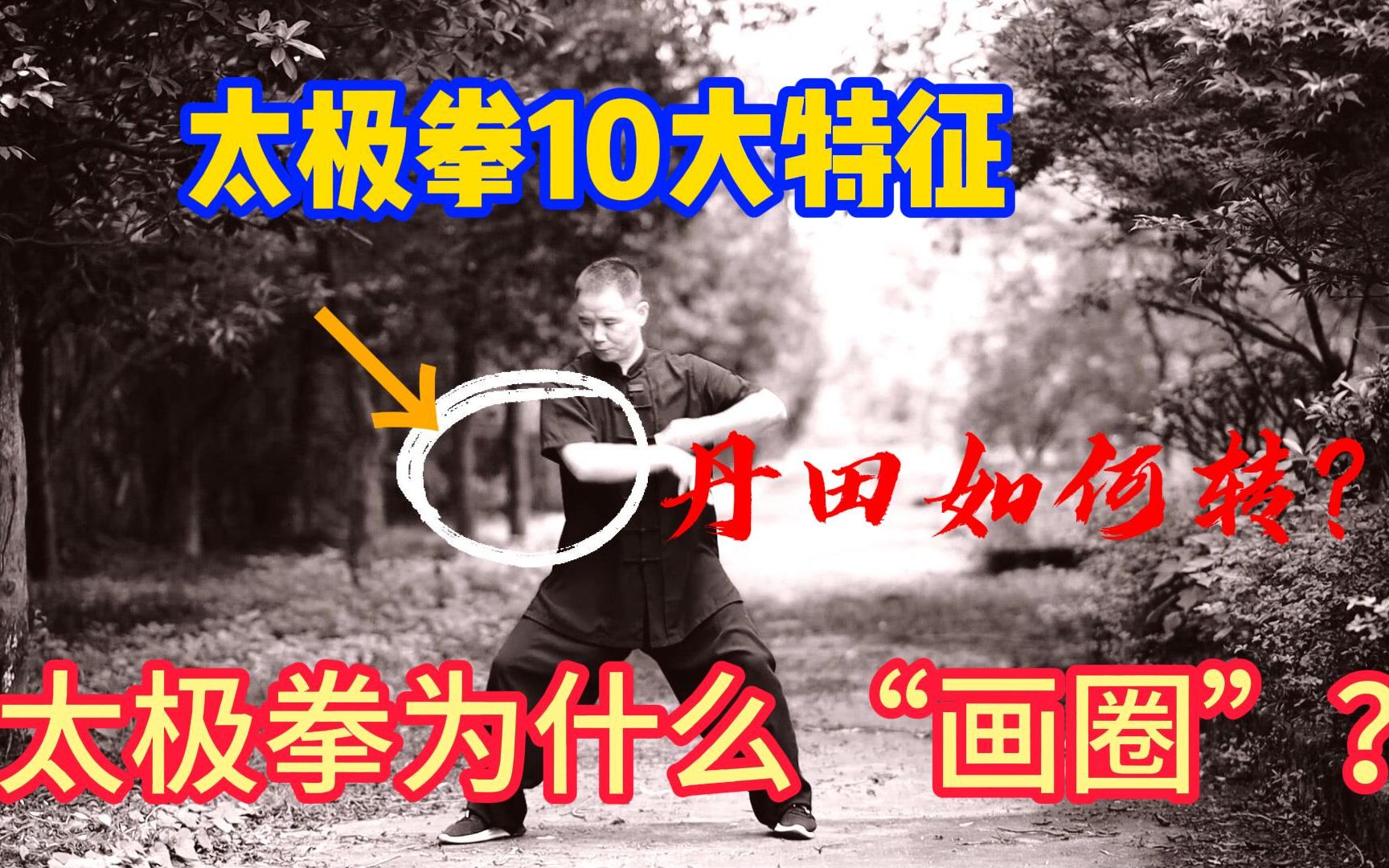 太极拳10个特征才称拳,看看你的拳有吗?哔哩哔哩bilibili