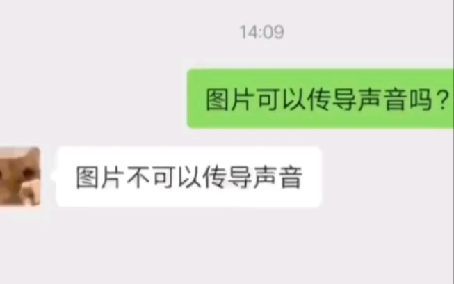 可以传导声音的图片.哔哩哔哩bilibili