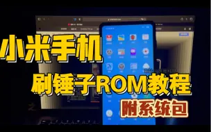 Descargar video: 【抄能力实测16】罗永浩看了都流眼泪！锤子系统SmartisanOS通刷包分享（GSI）！小米钉子户手把手教你刷入！