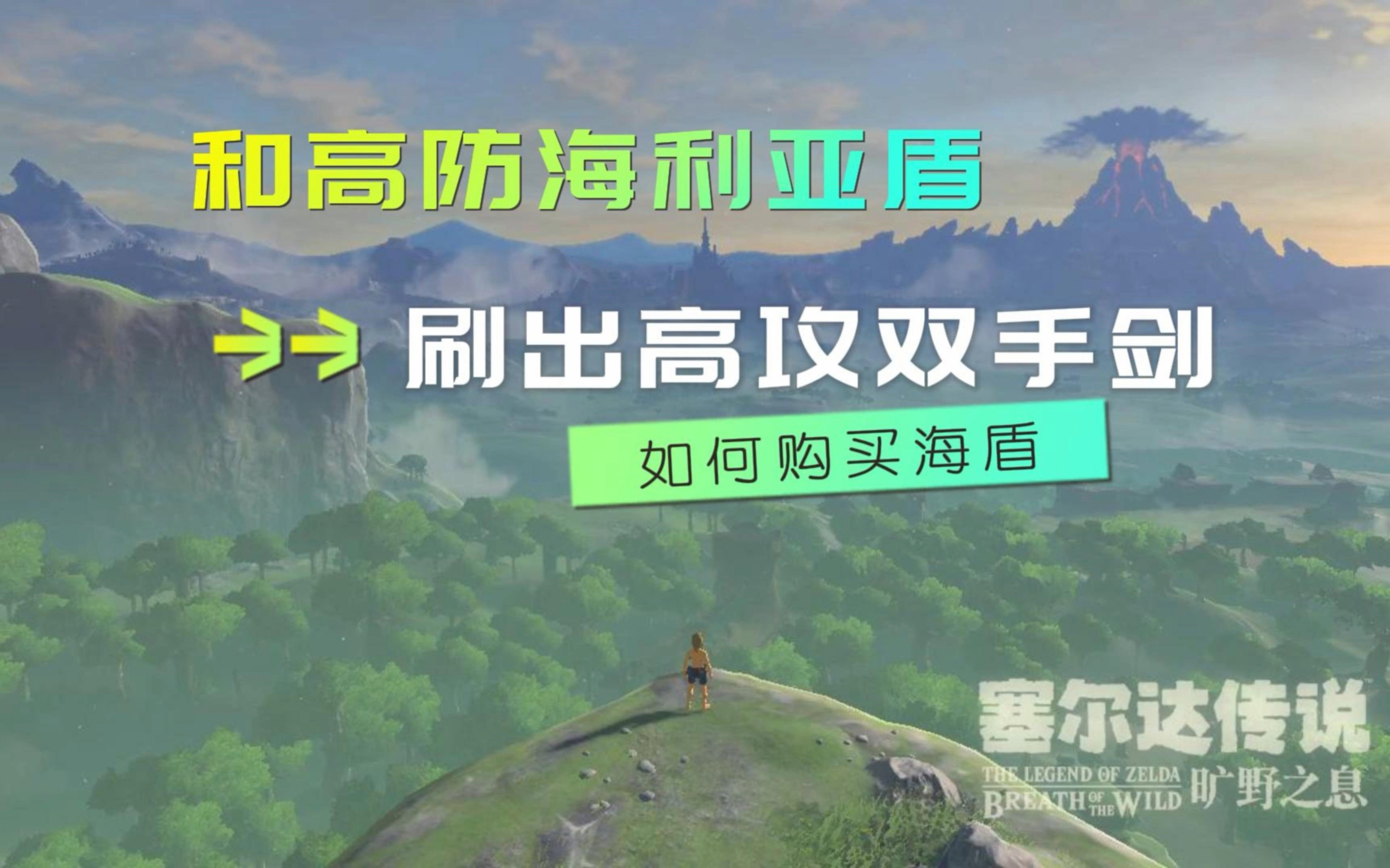 输出全图高攻双手剑以及高防海利亚盾,继承高耐久必备盾牌