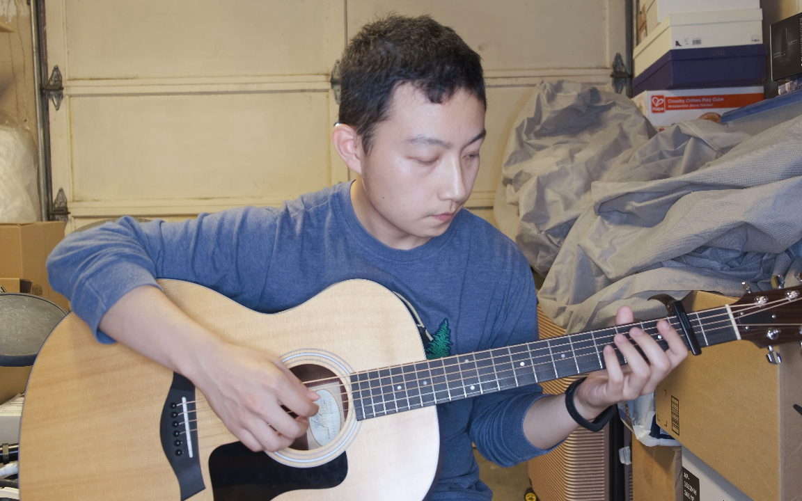 【指弹作业】花-岸部真明