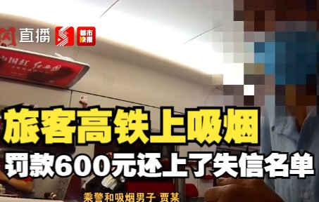 旅客高铁上吸烟 罚款600元还上了失信名单哔哩哔哩bilibili