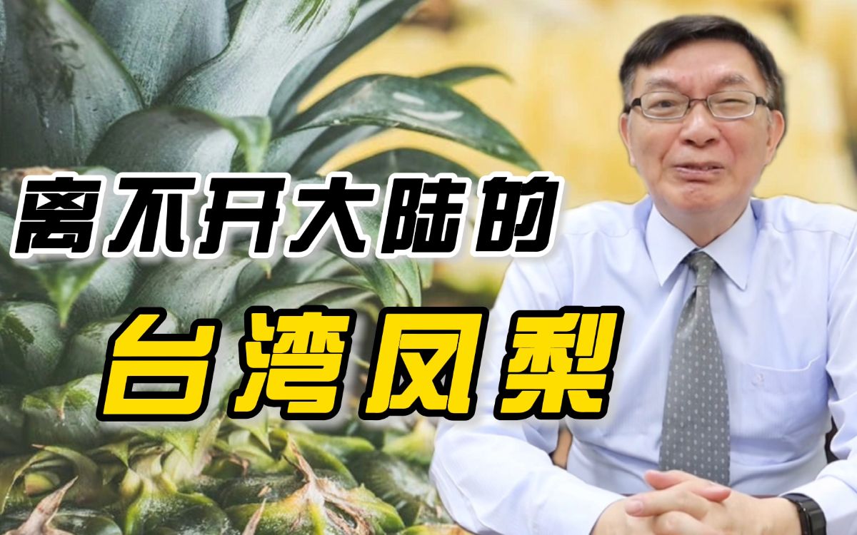 苑举正为什么禁运台湾凤梨涉及到中华民族的复兴大业