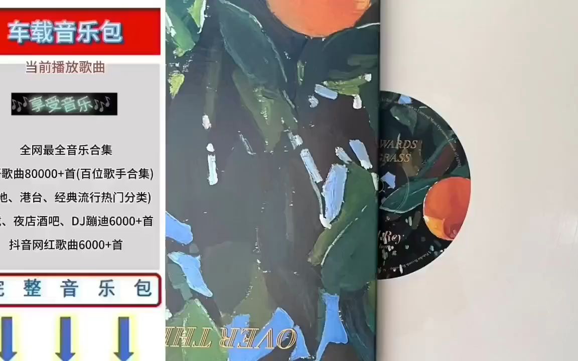 [图]2023最经典车载音乐2000首mp3打包下载,2023年最火劲爆的DJ歌曲 (中文舞曲),8000首车载DJ歌曲