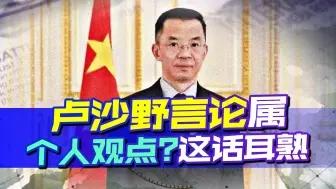 Download Video: 卢沙野涉乌问题表态，80名欧洲议员联名驱逐？毛宁给出准确回复