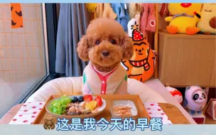 Download Video: 养了一个长毛的孩子～