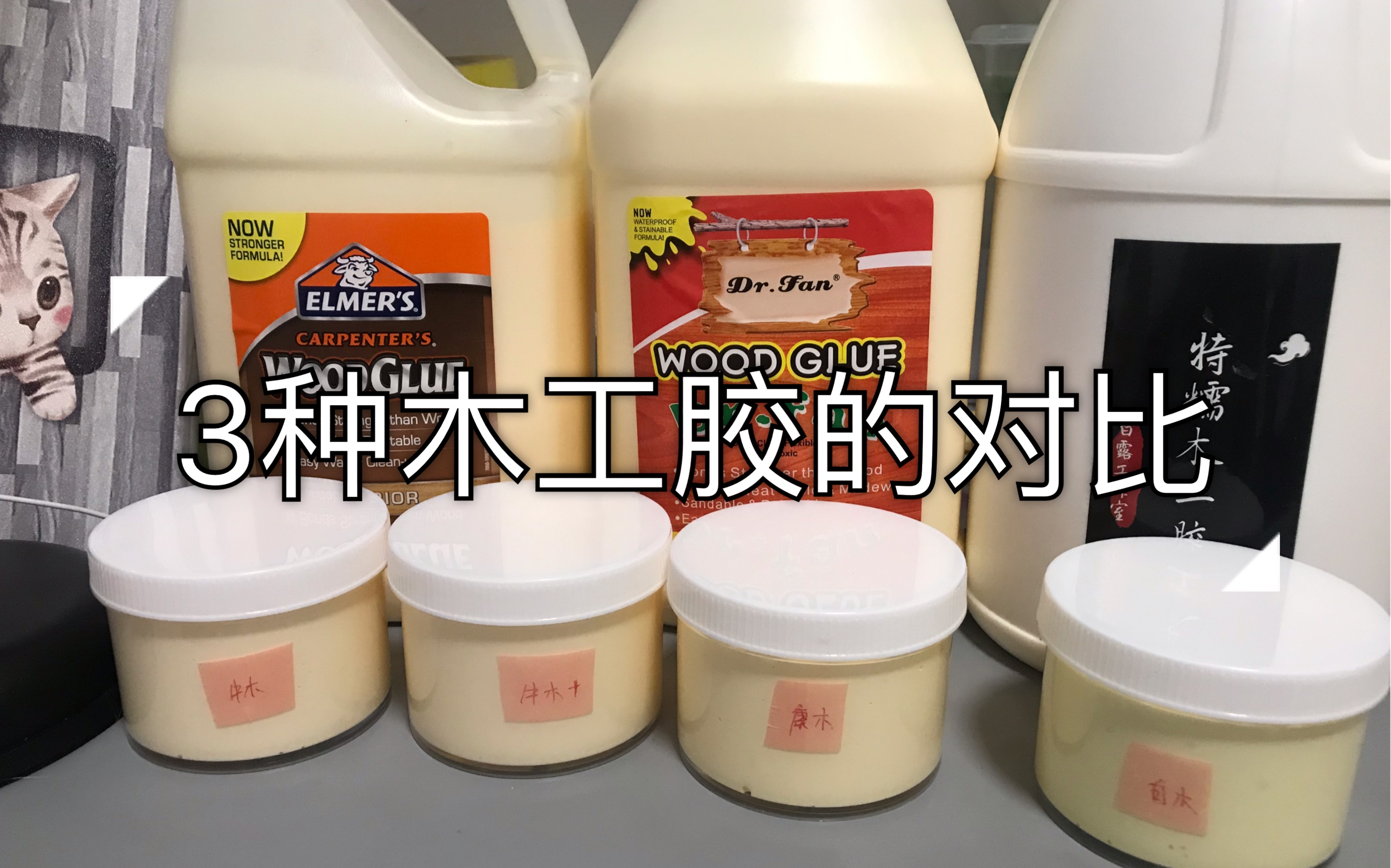 【小莲slime】牛头木工胶、康汇木工胶、白露家木工胶的对比(结果见简介及评论)哔哩哔哩bilibili