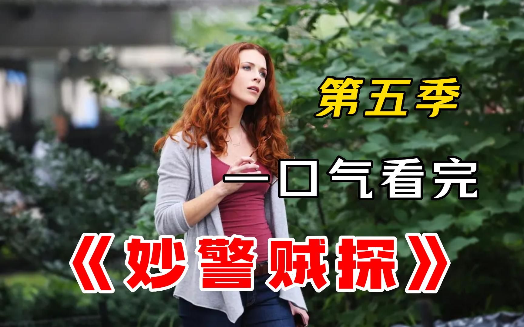 [图]一口气看完高分美剧《妙警贼探》第5季，为救老搭档，只能与虎谋皮！