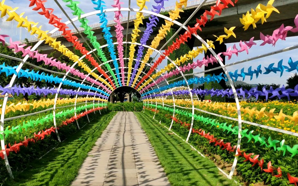 福州花海公园彩色风车转转转
