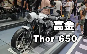 Download Video: 【重庆摩展】高金Thor 650 V缸巡航实拍: 高金印第安侦察兵