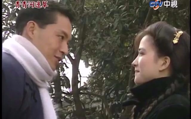 港台电视剧《青青河边草》华又琳向何世纬诉衷情
