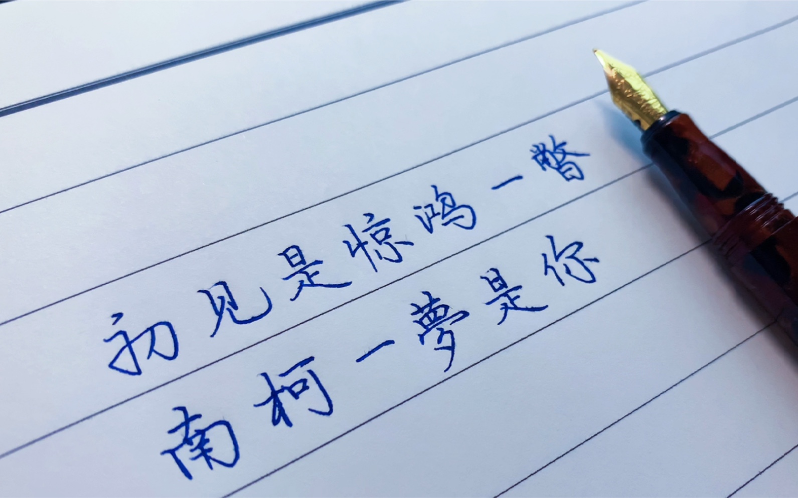 活动作品手写初见是惊鸿一瞥南柯一梦是你