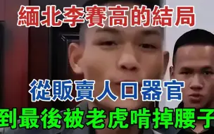 Download Video: 缅北李赛高的结局，从贩卖人口器官，到最后被老虎啃掉腰子#大案纪实#刑事案件#案件解说