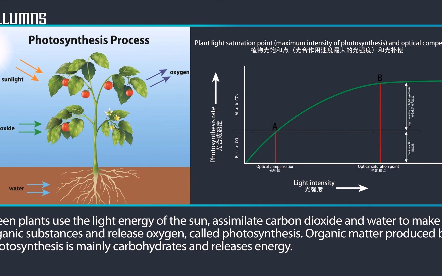 植物照明LED灯具铭濠科技哔哩哔哩bilibili