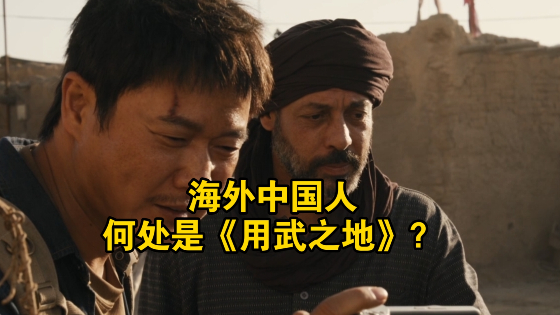 海外中国人，何处是《用武之地》