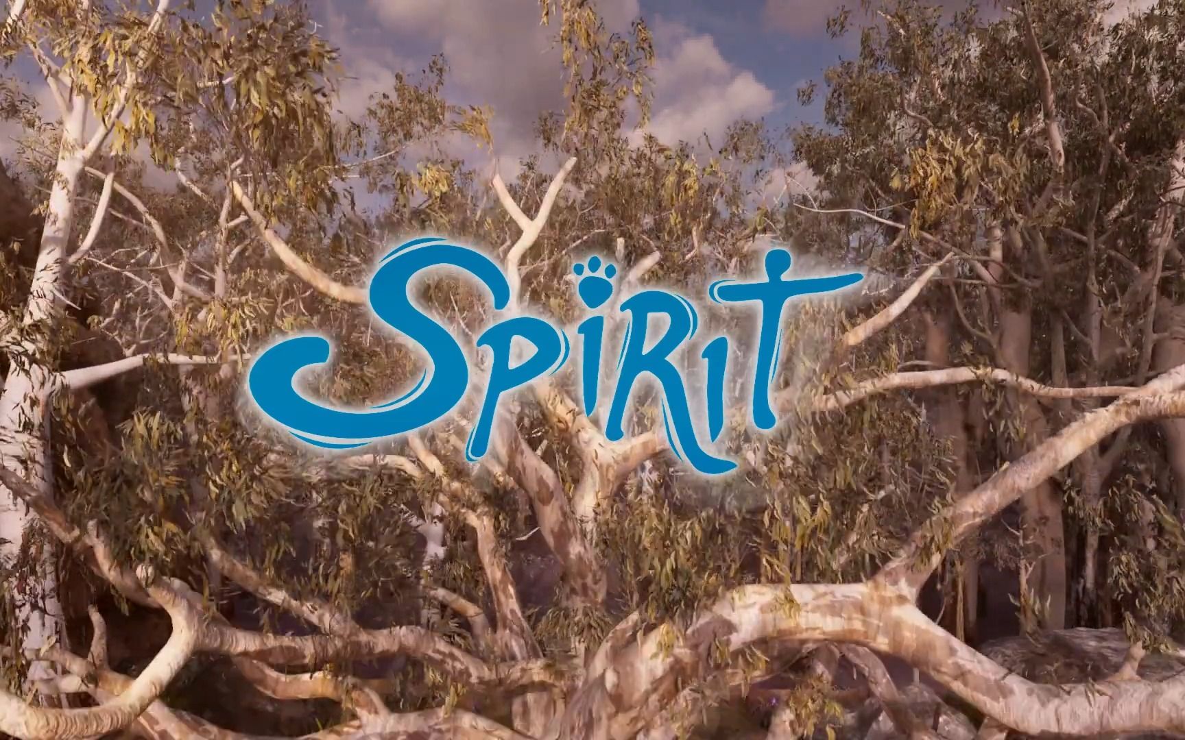 spirit怎么读 B站