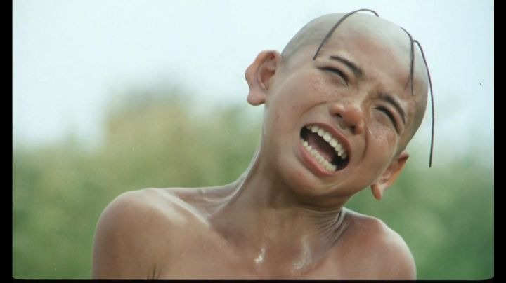 三毛去当兵,干啥啥不行,还是个饭桶,真能把人气死.