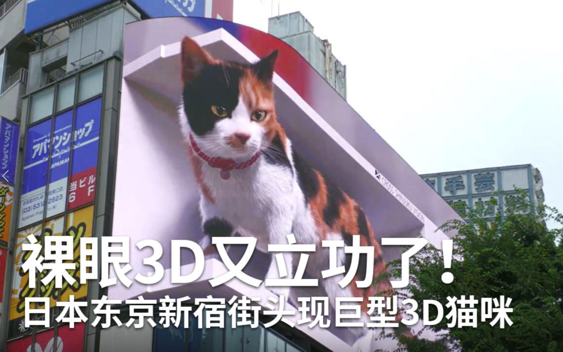 日本东京新宿街头现巨型3d猫咪