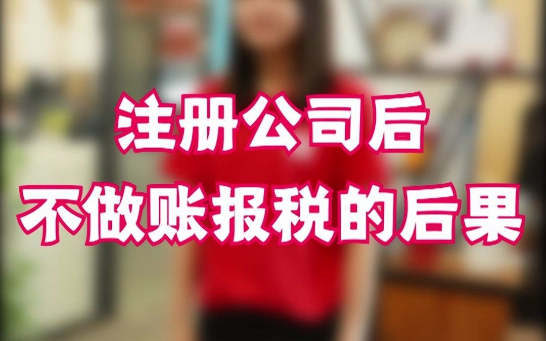 注册公司后不做账报税哔哩哔哩bilibili