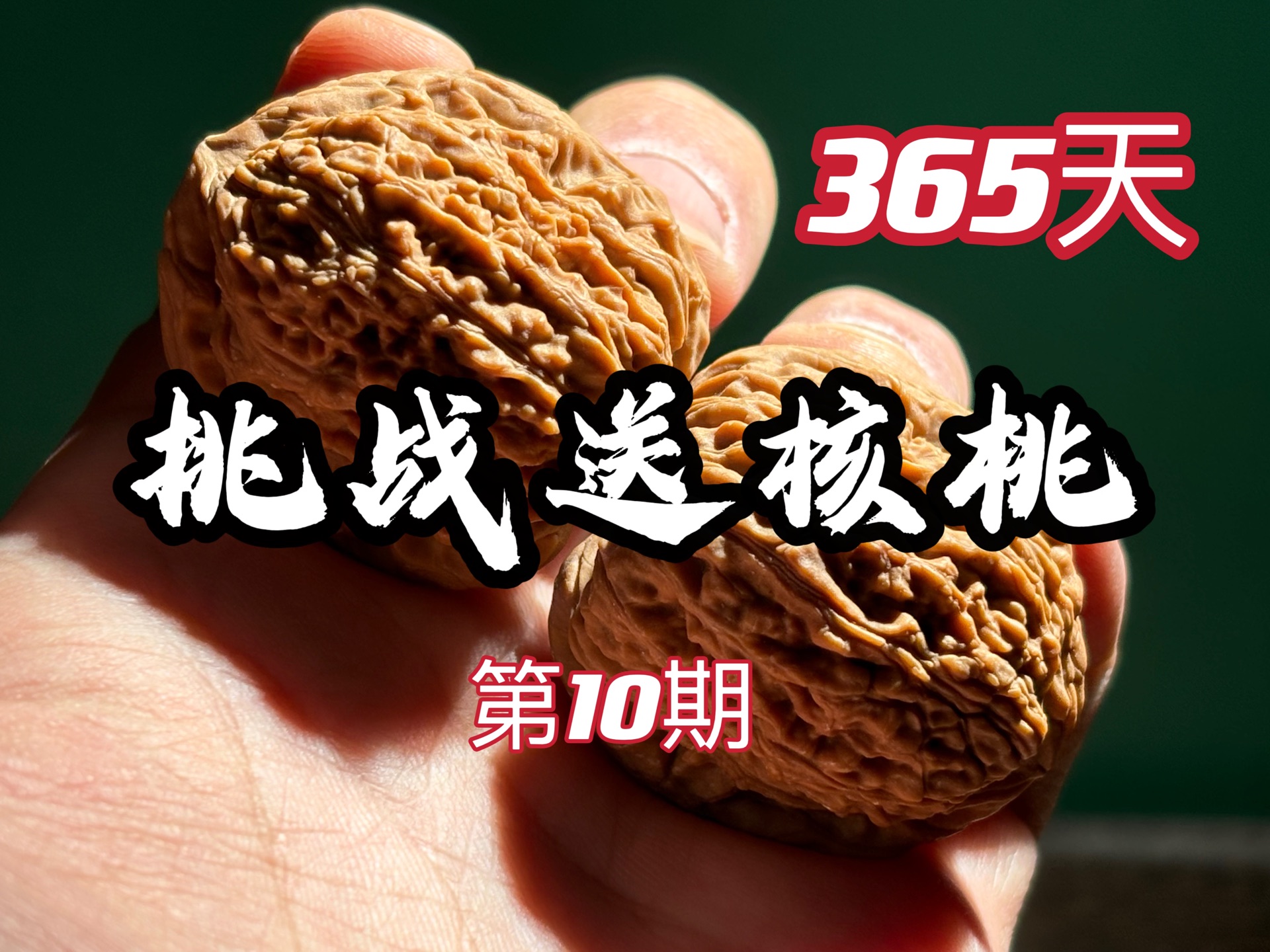 挑战365天,每天送文玩核桃第10期